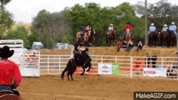 rodeo gif|funny rodeo gif.